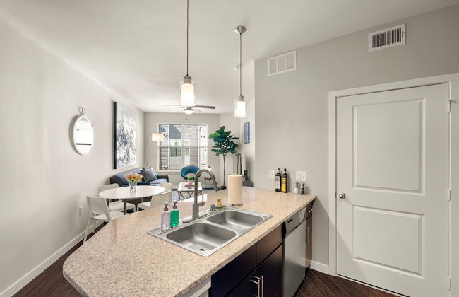 Dallas Beautiful 1BD 1BA Downtown Apartment - Foto 9