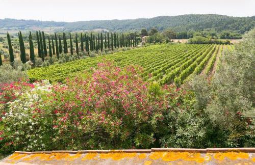 VILLA LIGUSTRO - Foto 28