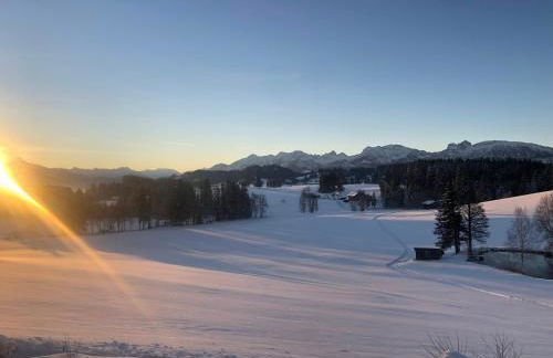 Ferienhof Paulsteiner Goldhasen - Foto 16