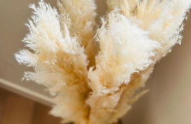 Auréa - Elégant Duplex Rennes - Foto 8