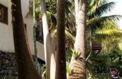 La Casita de la Vega - Foto 70