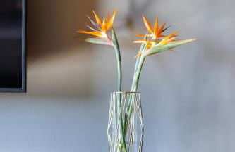 Downtown Apartments Berlin Mitte Wedding - Foto 64