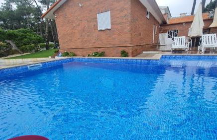 Pinheiro Manso - Foto 8