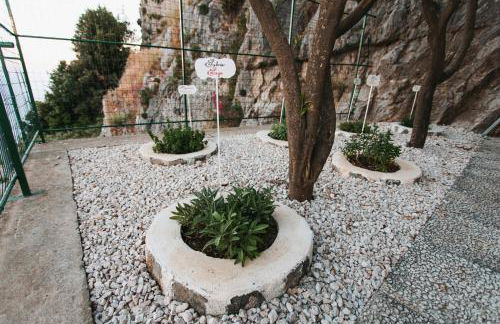 Apartments PARADISE GARDEN Holiday House - Foto 31