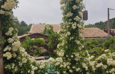 Magnifique villa de charme avec piscine - Foto 12