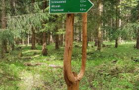 Ferienhaus Victoria - Foto 71