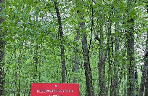 Moje Podlasie - Dom w Siemichoczach - Foto 30