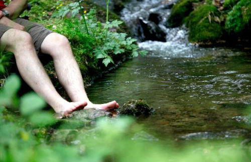 Paradies Im Schwarzwald - Foto 17