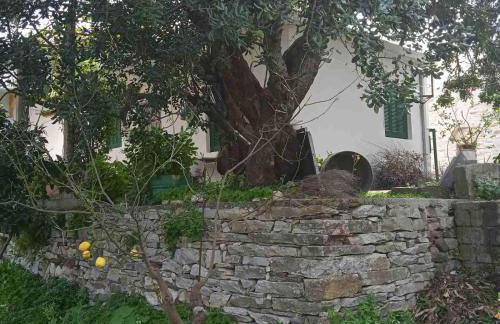 Ikarian Family Cottage, Ikaria Droutsoulas - Foto 13