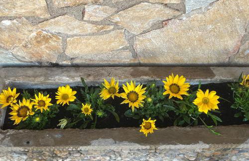 Cals Avis de Sau - Foto 12