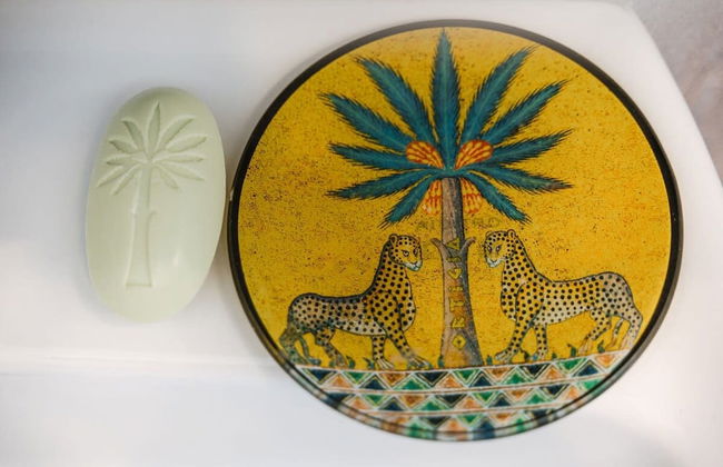 New Listing La Magnolia A C Balcony Office Piazza Navona Spanish Steps - Foto 47