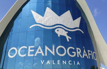 Pinedo Playa Rustico - Photo 13