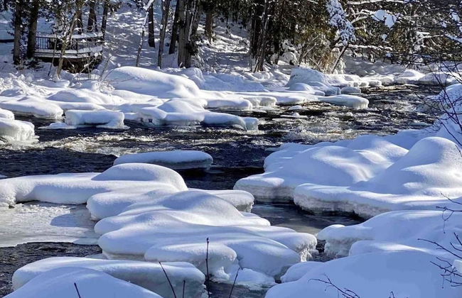 St-Sauveur Lovely Studio - Photo 60