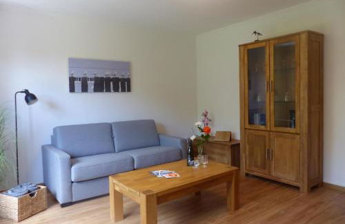 Midlum Zaunkönig - Foto 31