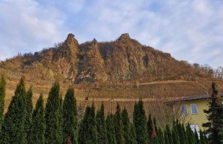 Historische Villa mit Drachenfels-Blick - Foto 12