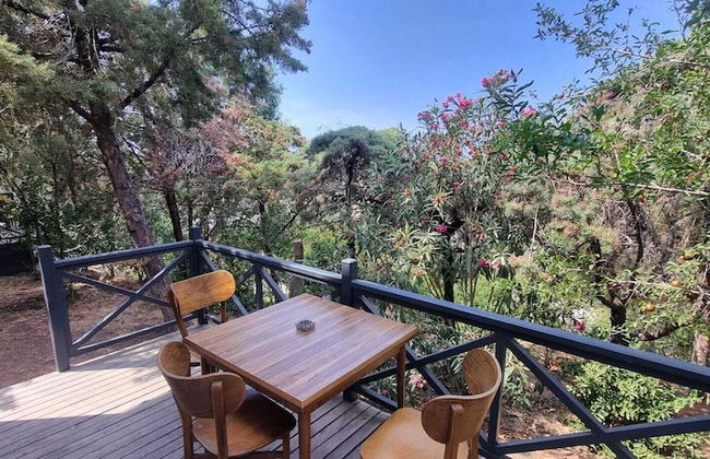 Sole Foca ( Ages 12+ ) - Foto 46