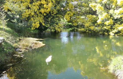 Quinta Rural - Nossa Sra do Carmo. Teixoso - Foto 31
