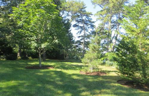 Long Pond Escape—Decks, Kayaks Fishing - Photo 41