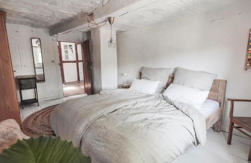 Nibelungen Odenwaldhaus - Foto 53