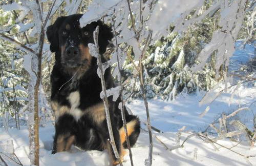Ferienwohnung Hägelhof - Foto 44