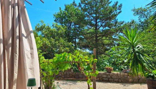 Apartments Sandra - Foto 5