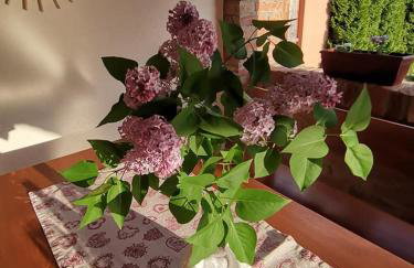 Villa Magnolia - Foto 33