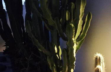 Casa Euphorbia - Foto 31