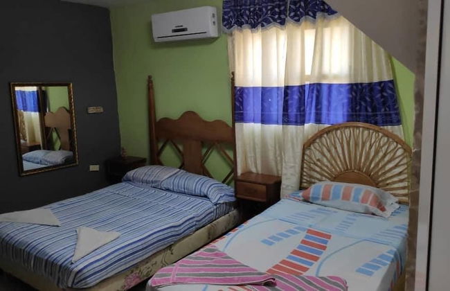 The Island - Photo 5