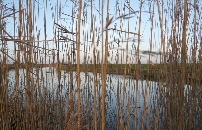 Cosy Pine Lodge With far Reaching Country Views and Large sun Deck - Photo 16