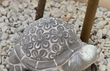 House Angelina - Foto 37