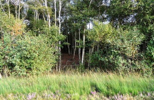 Ferienwohnung Uchte - Photo 47