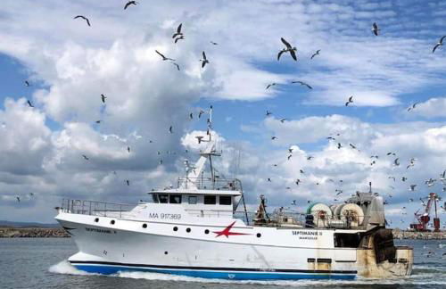 Appart T2 vue imprenable sur le canal et la mer - Foto 7