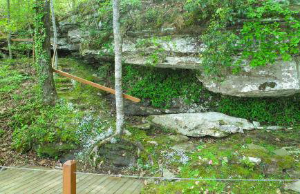 Wonderland Cabin - Enchanting Lakeside Sanctuary - Foto 27