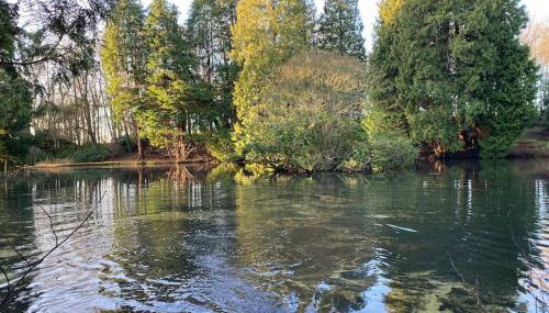 Peaceful cottage with fireplace Charleton Estate - Foto 4