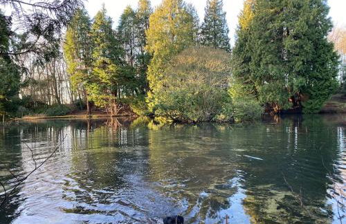 Peaceful cottage with fireplace Charleton Estate - Foto 4