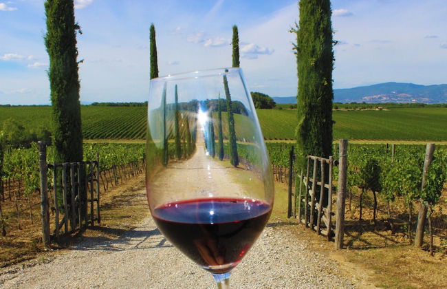 Agriturismo La Piana - Foto 51