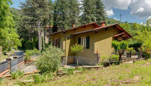 Gigli di Firenze - Foto 2