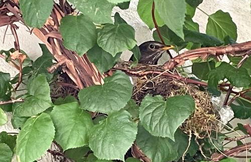 kirchgässlein - Foto 24