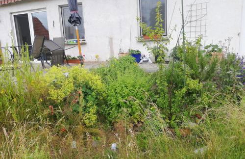 Ferienwohnung - a44958 - Foto 1