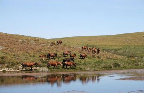 Cantinho do Cantador - Foto 44