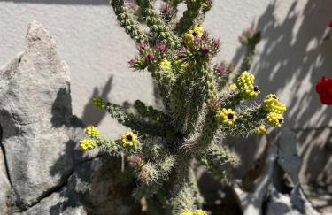 La Bella Vita - Foto 21