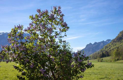 Ferienwohnung Nagerlhof - Foto 12