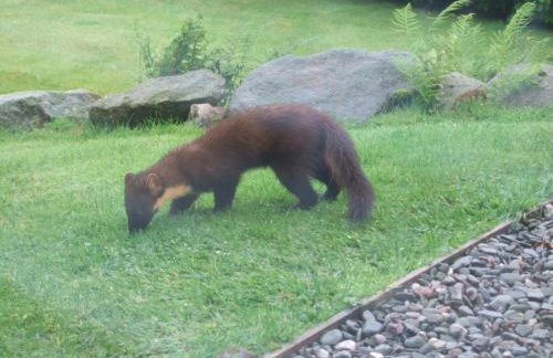 Thistle House Guest House - Foto 61