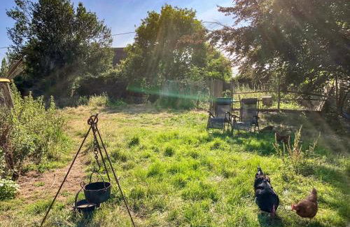 Romney Wagon - Foto 17