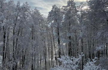 Studio Luise - Foto 26