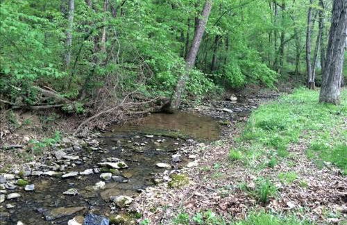 Historic Countryside Estate with Brenda Lee Heritage Near Nashville, Goodlettsville TN - Photo 65