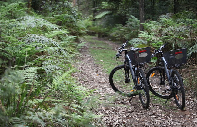 Woodlands Rainforest Retreat - Foto 20