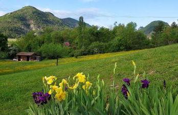 T2 indépendant dans maison Tout confort - Foto 13