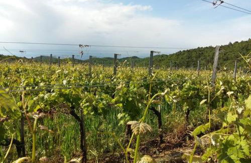 Milic Zagrski - Photo 4