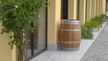 Azienda agrituristica Scotti - Foto 3